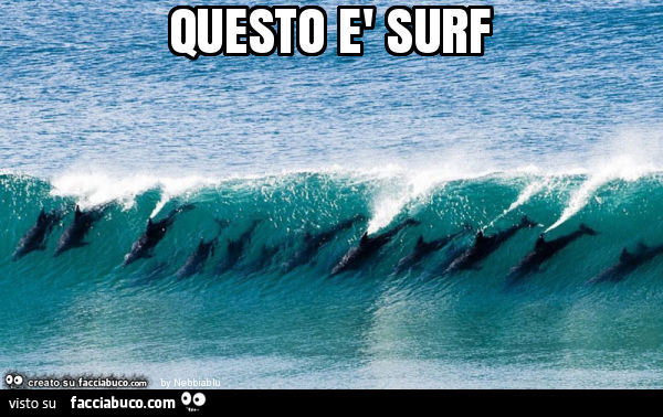 Questo è surf