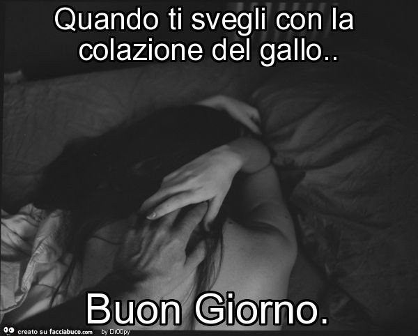 Quando ti svegli con la colazione del gallo. Buon giorno