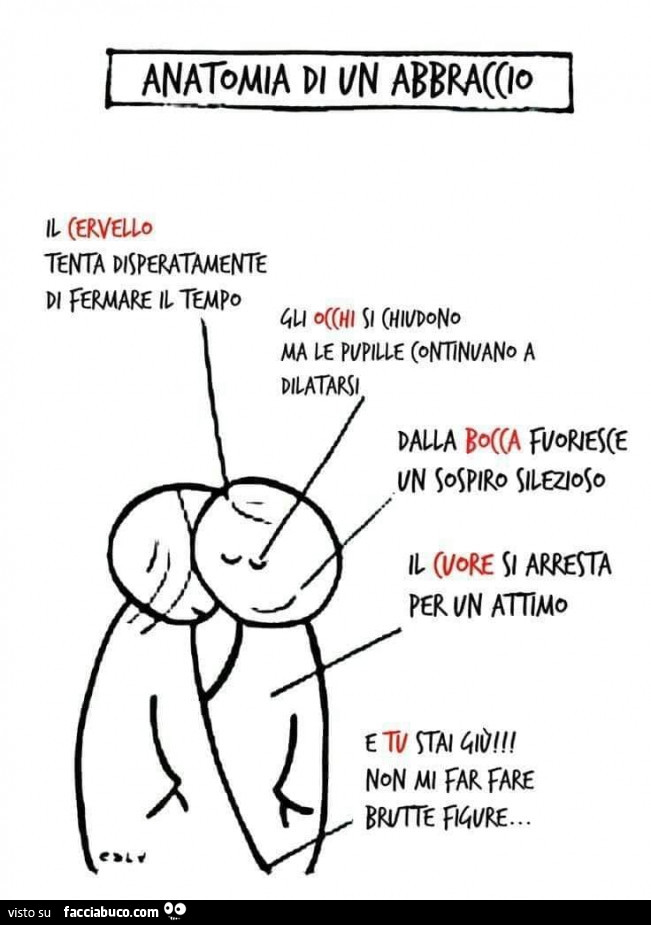 Anatomia di un abbraccio