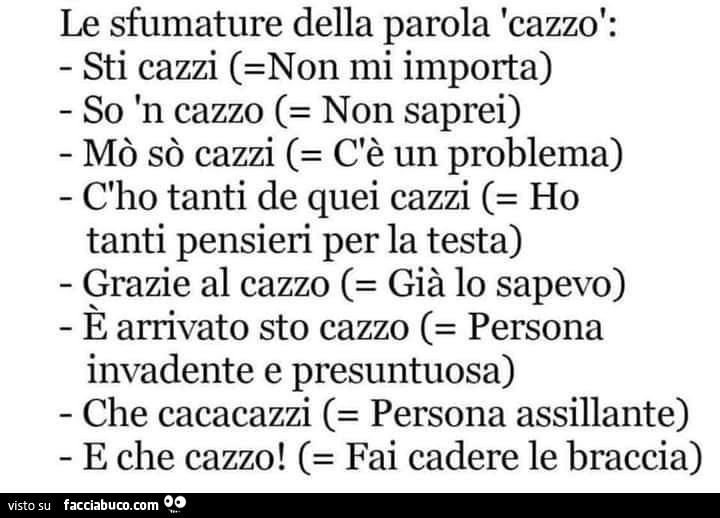 Le sfumature della parola cazzo