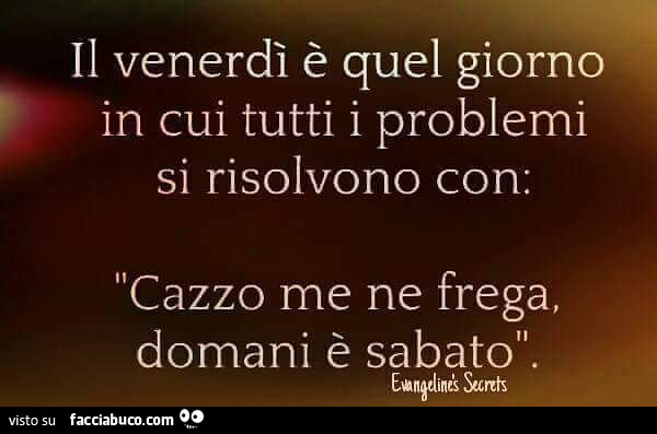 Il venerdì è quel giorno in cui tutti i problemi si risolvono con: cazzo me ne frega, domani è sabato