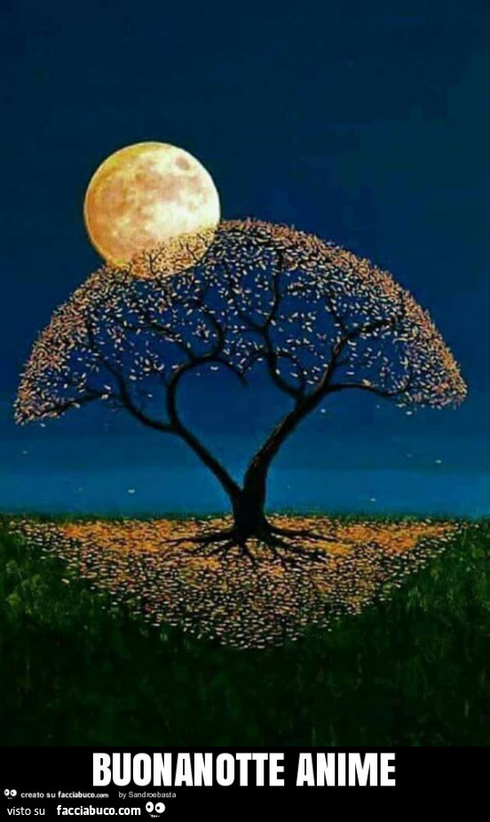Buonanotte anime