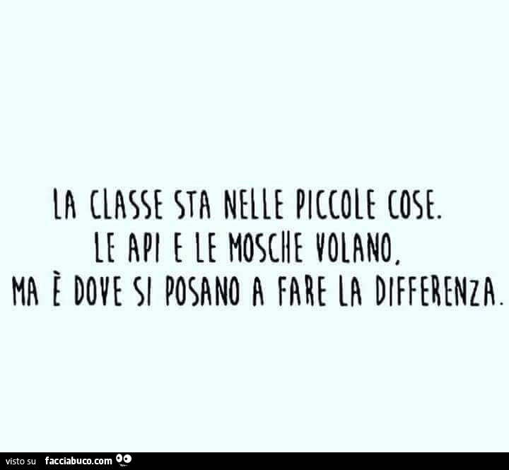 La classe sta nelle piccole cose. Le api e le mosche volano. Ma è dove si posano a fare la differenza