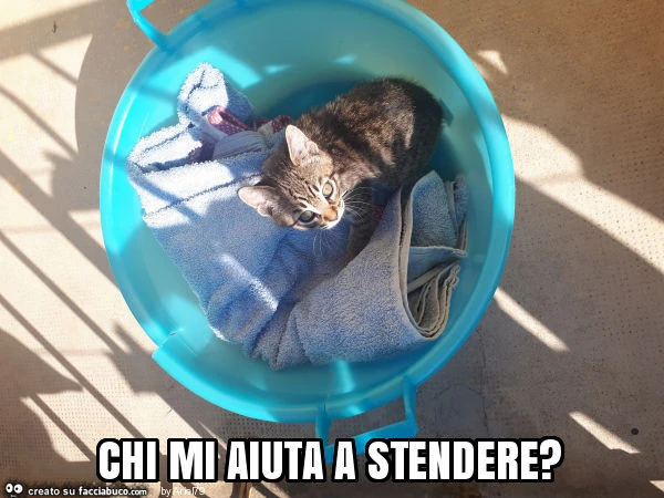Chi mi aiuta a stendere?