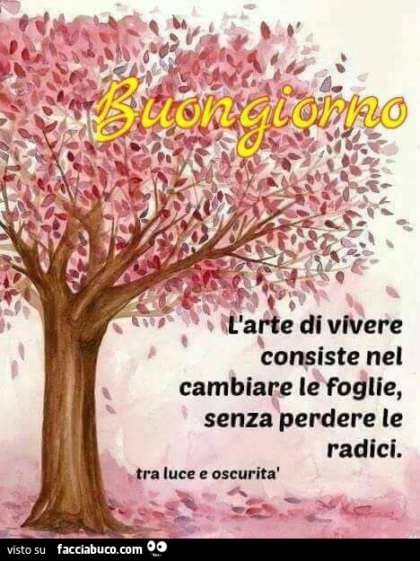 Buongiorno. L'arte di vivere consiste nel cambiare le foglie, senza perdere le radici