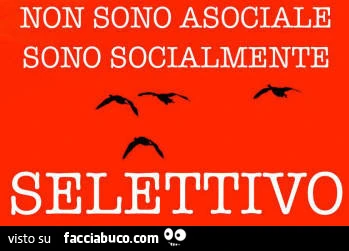 Non sono asociale sono socialmente selettivo
