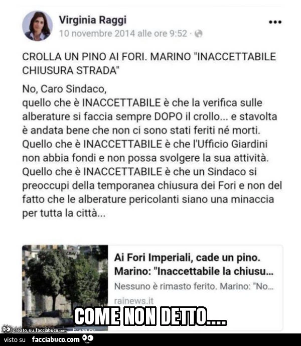 Virginia Raggi no, caro sindaco, quello che รจ inaccettabile รจ che la verifica sulle alberature si faccia sempre dopo il crollo… e stavolta รจ andata bene che non ci sono stati feriti nรฉ morti