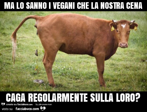 2747151011-ma-lo-sanno-i-vegani-che-la-nostra-cena-caga-regolarmente-sulla-loro_b.jpg