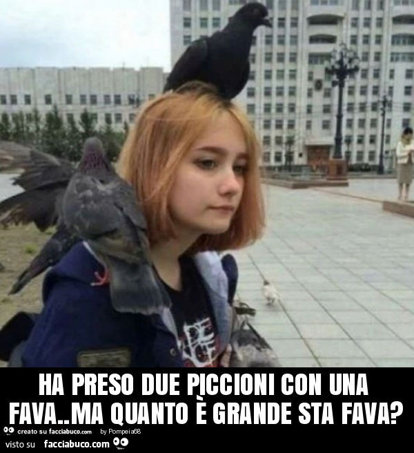 Ha preso due piccioni con una fava. Ma quanto è grande sta fava?
