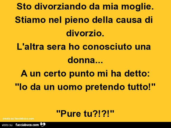 Sto Divorziando Da Mia Moglie Stiamo Nel Pieno Della Causa Di Divorzio Laltra 4493