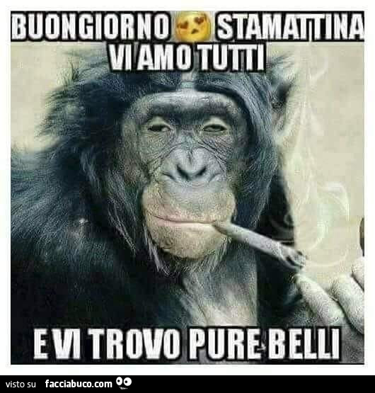 Buongiorno stamattina vi amo tutti e vi trovo pure belli