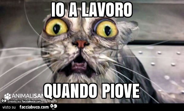 Io a lavoro quando piove