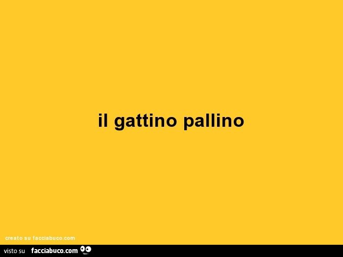 Il gattino pallino