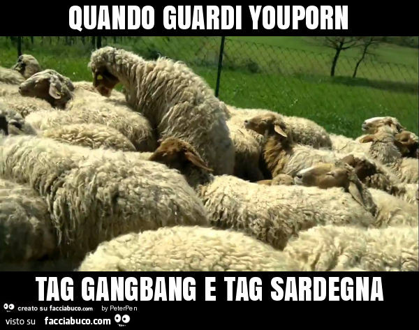 Quando guardi youporn tag gangbang e tag sardegna