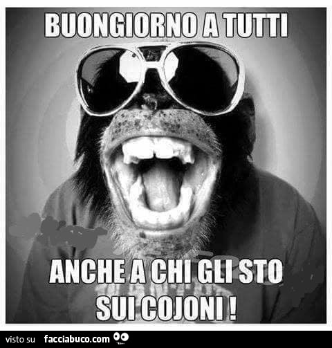 Buongiorno a tutti, anche a chi gli sto sui cojoni