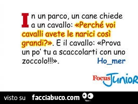 In un parco, un cane chiede a un cavallo: perché voi cavalli avete le narici così grandi? E il cavallo: prova un po' tu a scaccolarti con uno zoccolo