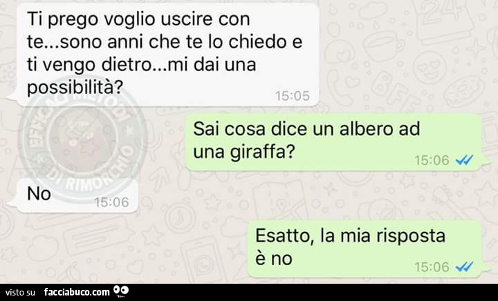 Ti prego voglio uscire con te… sono anni che te lo chiedo e ti vengo dietro… mi dai una possibilità? Sai cosa dice un albero ad una giraffa? No. Esatto, la mia risposta è no