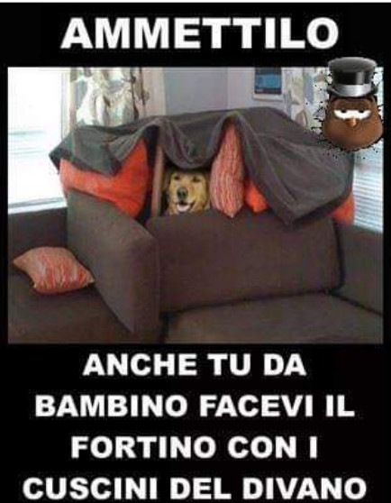 Ammettilo anche tu da bambino facevi il fortino con i cuscini del divano