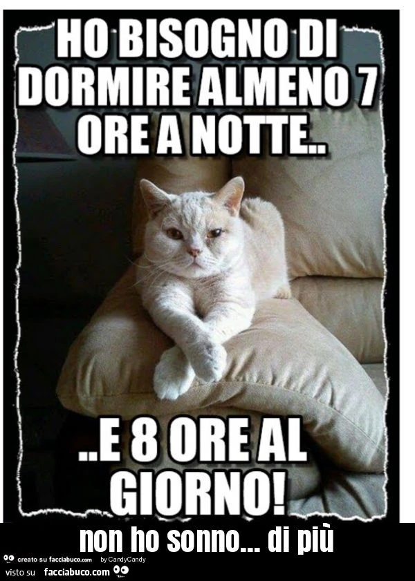 Non ho sonno&hellip; di più