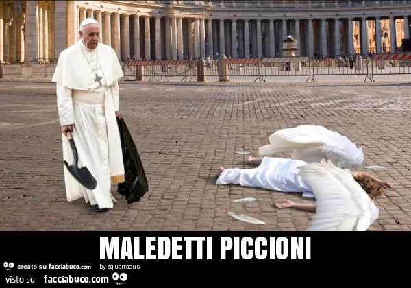 Maledetti piccioni