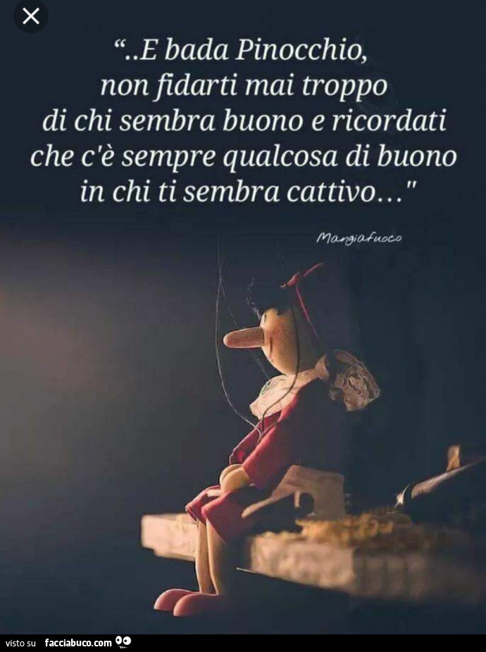 E bada pinocchio, non fidarti mai troppo di chi sembra buono e ricordati che c'è sempre qualcosa di buono in chi ti sembra cattivo