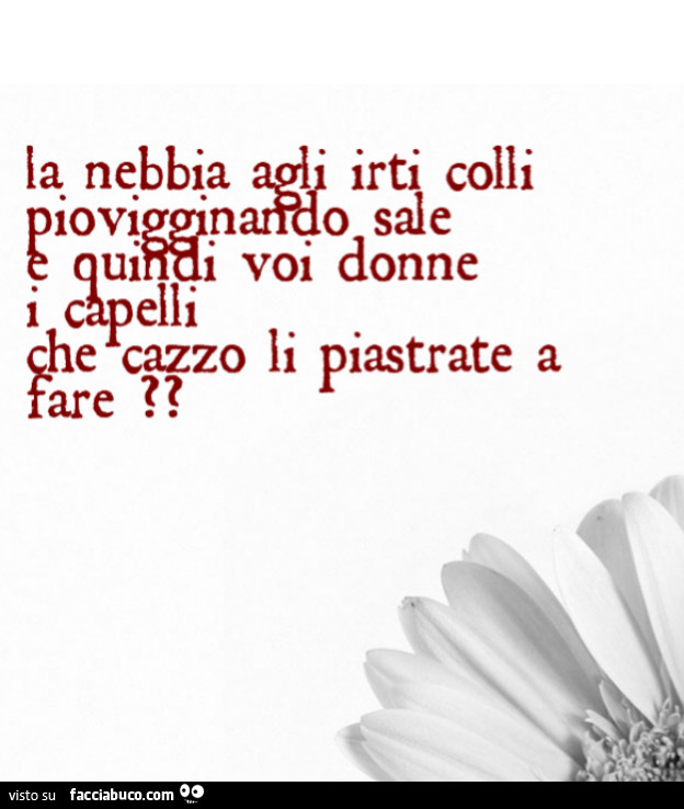 La nebbia agli irti colli piovigginando sale e quindi voi donne i