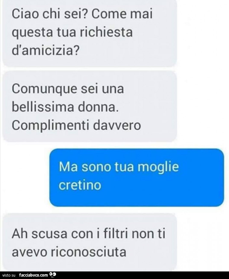 Ciao chi sei? Come mai questa tua richiesta d'amicizia? Comunque sei una bellissima donna. Complimenti davvero. Ma sono tua moglie cretino. Ah scusa con i filtri non ti avevo riconosciuta