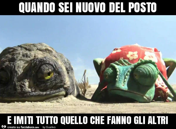 Quando sei nuovo del posto e imiti tutto quello che fanno gli altri