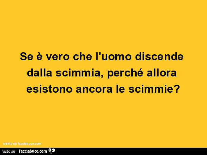 Se è vero che l'uomo discende dalla scimmia, perché allora esistono ancora le scimmie?