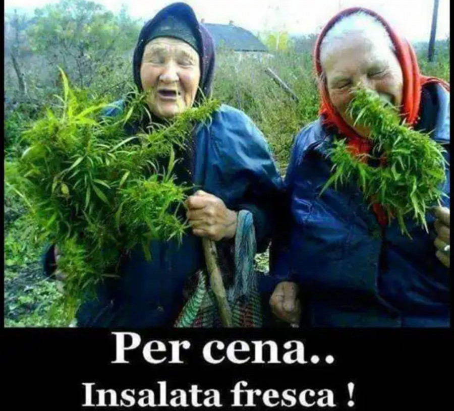Vaccata