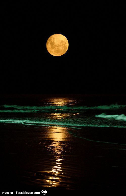 Luna piena sul mare