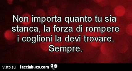 Non importa quanto tu sia stanca, la forza di rompere i coglioni la devi trovare. Sempre