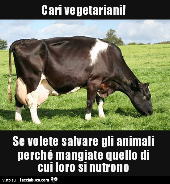 Cari vegetariani! Se volete salvare gli animali perché mangiate quello di cui loro si nutrono