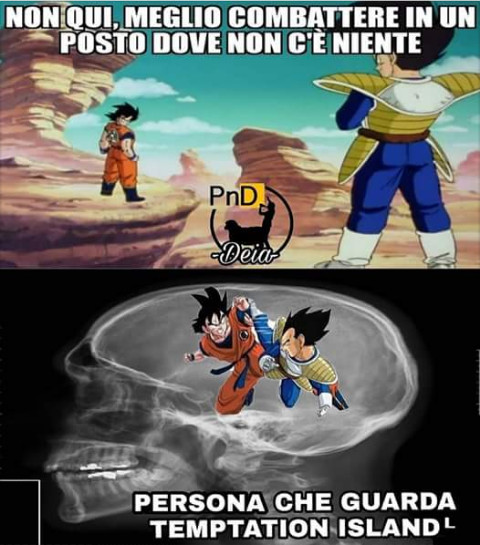 Non qui meglio combattere in un posto dove non c' è niente