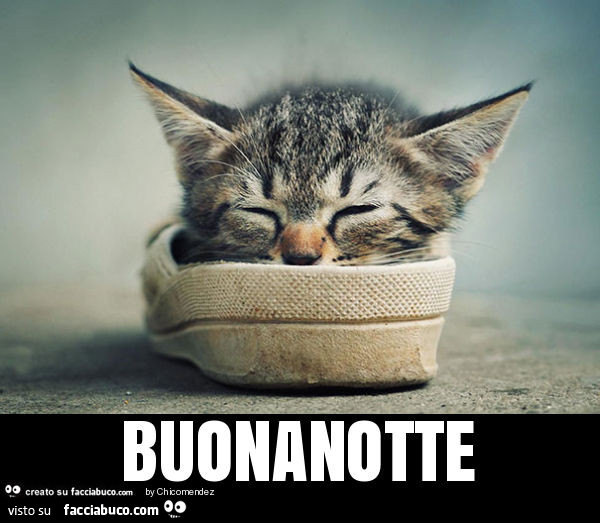Buonanotte