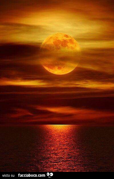 Luna al tramonto