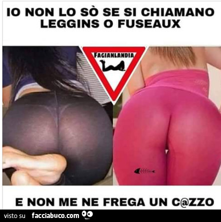 Io non lo sò se si chiamano leggins o fuseaux e non me ne frega un cazzo
