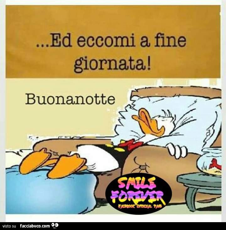 Ed eccomi a fine giornata! Buonanotte