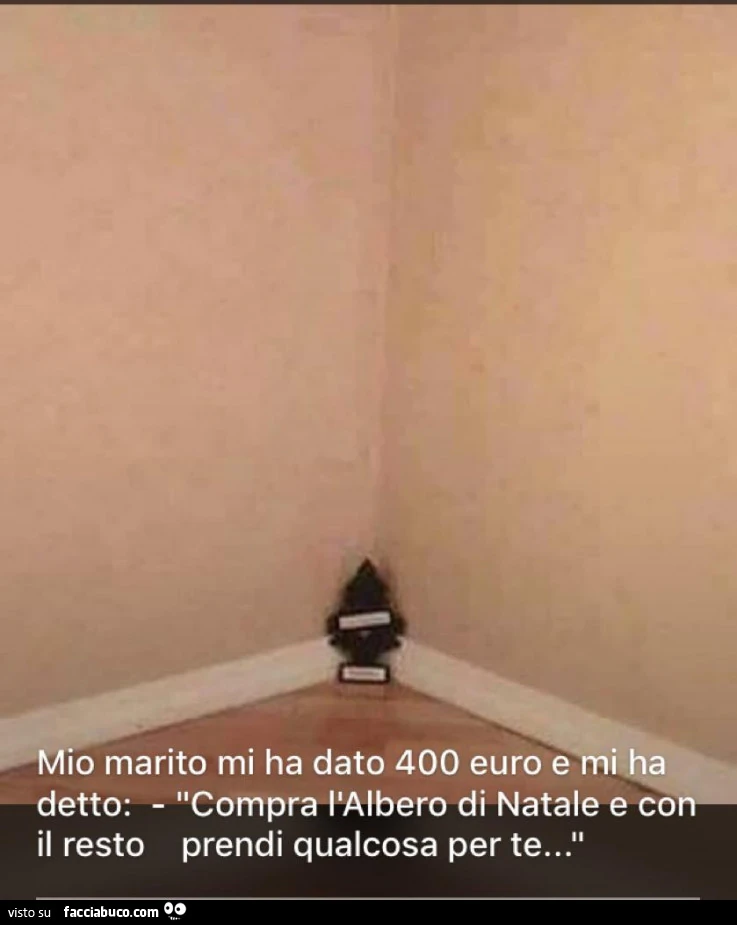Mio marito mi ha dato 400 € e mi ha detto: compra l'albero di natale e con il resto prendi qualcosa per te