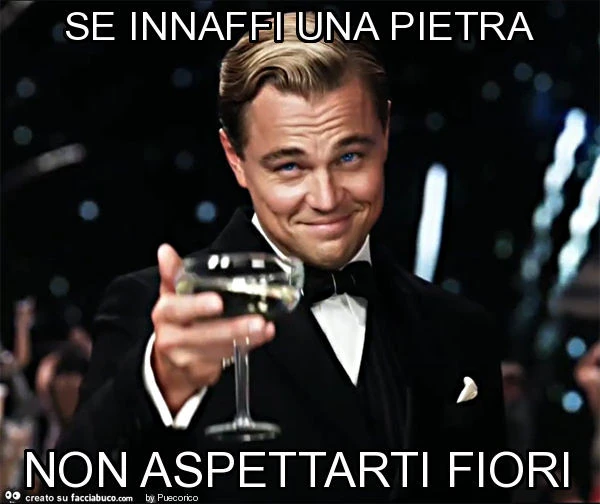 Se innaffi una pietra non aspettarti fiori