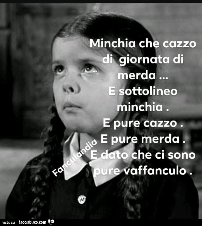 Minchia che cazzo di giornata di merda… e sottolineo minchia. E pure cazzo e pur merda e dato che ci sono pure vaffanculo