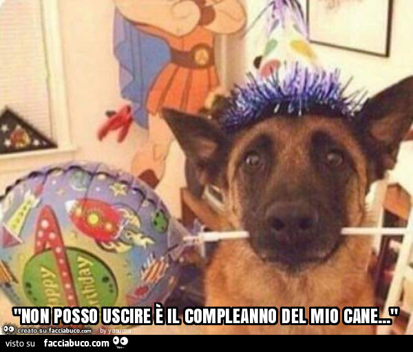 "non posso uscire è il compleanno del mio cane… "