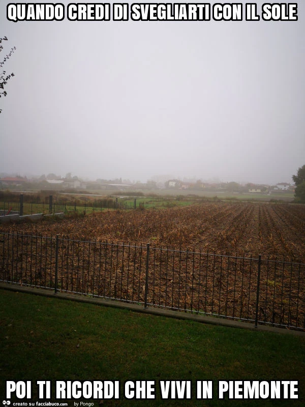 Quando credi di svegliarti con il sole poi ti ricordi che vivi in piemonte