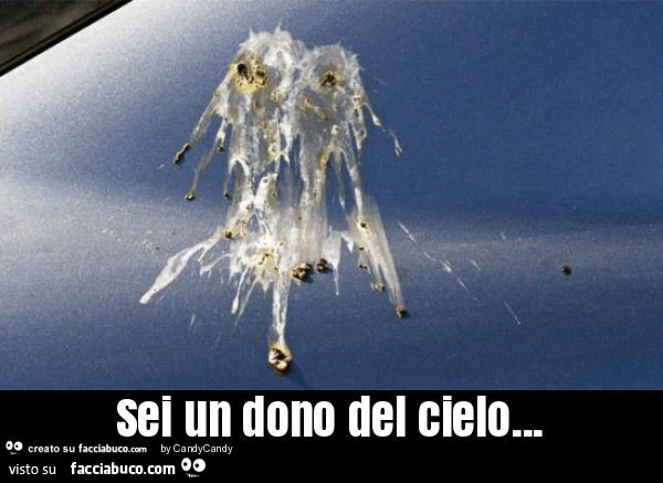 Sei un dono del cielo