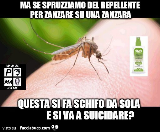 Ma se spruzziamo del repellente per zanzare su una zanzara questa si fa schifo da sola e si va a suicidare?