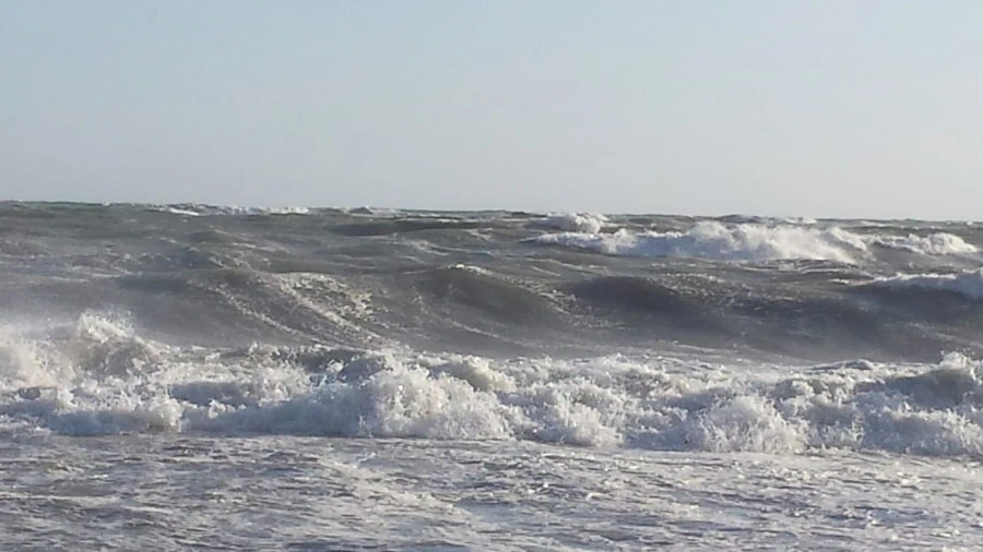 Mare