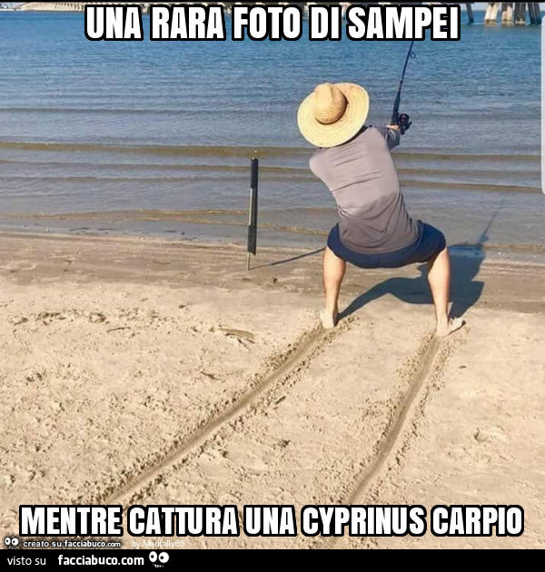 Una rara foto di sampei mentre cattura una cyprinus carpio