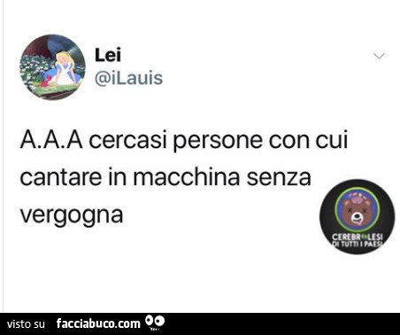 AAA cercasi persone con cui cantare in macchina senza vergogna