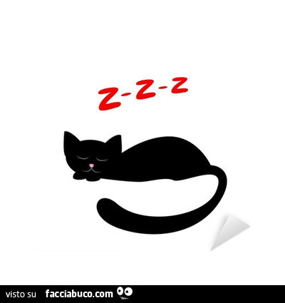 cefpq8l8ur-gatto-nero-che-dorme-zzz-buonanotte-facciabuco_b.jpg