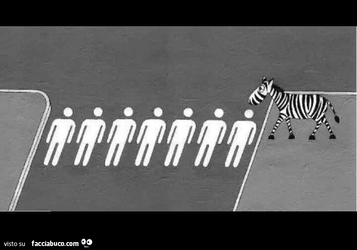 Zebra attraversa sulle strisce